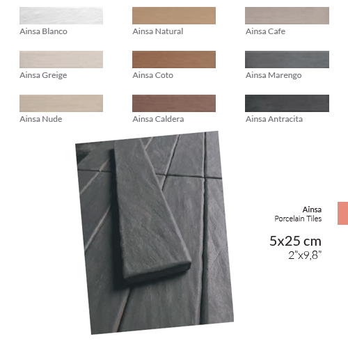 AINSA