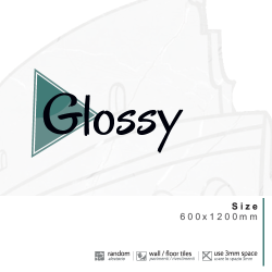 GLOSSY COLLECTION (128 OPTIONS)