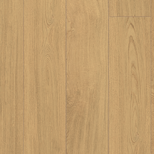 DORATO QUERCIA