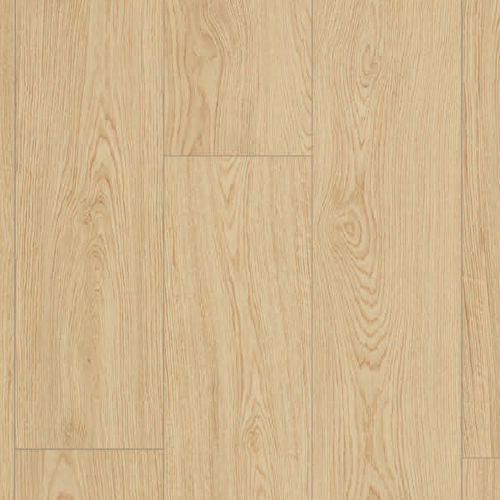 PLAGIERINO QUERCIA