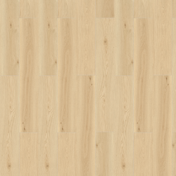 PLAGIERINO ROVERE
