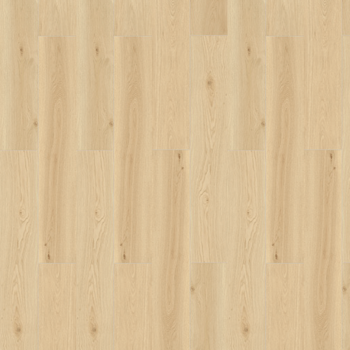 PLAGIERINO ROVERE