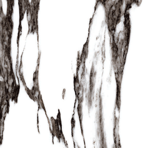 WHITE RENIOR