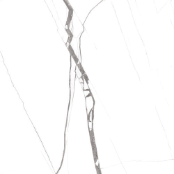 GREY SPIDER
