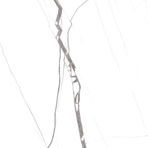 GREY SPIDER