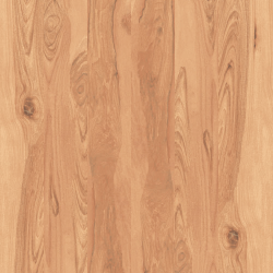 FOREST WOOD OCRA