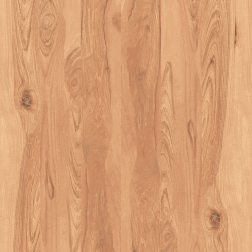 FOREST WOOD OCRA