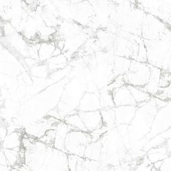 SENSO WHITE