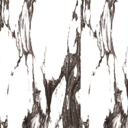 WHITE RENIOR